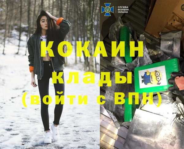 шишки Белоозёрский