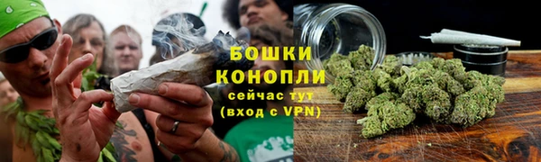 шишки Белоозёрский