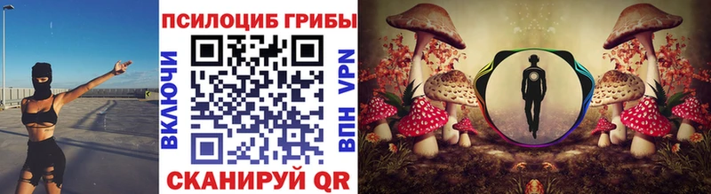 Псилоцибиновые грибы мицелий  Кашин 